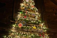 WhatsApp-Image-2025-12-15-at-23.50.49-13