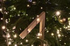 WhatsApp-Image-2025-12-15-at-23.50.49