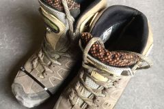 WhatsApp-Image-2021-09-06-at-07.14.17