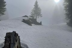 WhatsApp-Image-2022-03-20-at-09.53.30-1