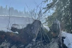 WhatsApp-Image-2022-03-20-at-09.53.31-1