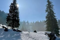 WhatsApp-Image-2022-03-20-at-09.53.31